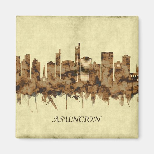 Asuncion Paraguay Cityscape Magneet (Voorkant)