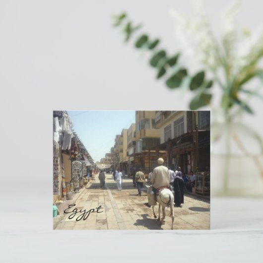 aswan donkey briefkaart (Staand voorkant)