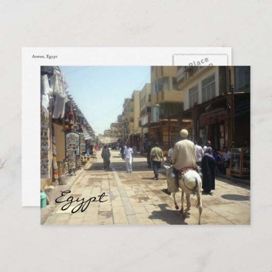 aswan donkey briefkaart (Voorkant / Achterkant)