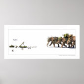 Asymmetrie Poster (Voorkant)