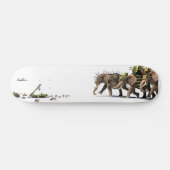 Asymmetrie skateboard (Horizontaal)