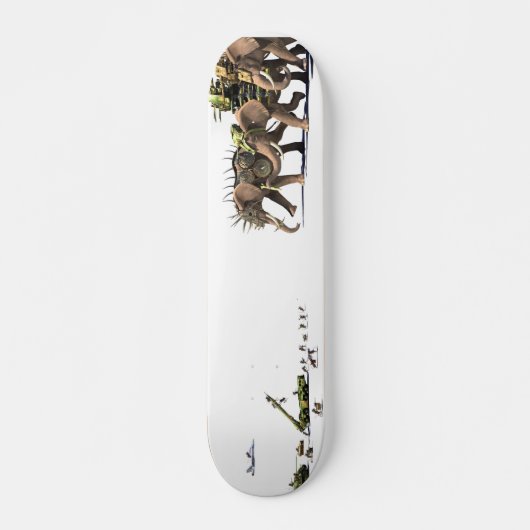 Asymmetrie skateboard (Voorkant)