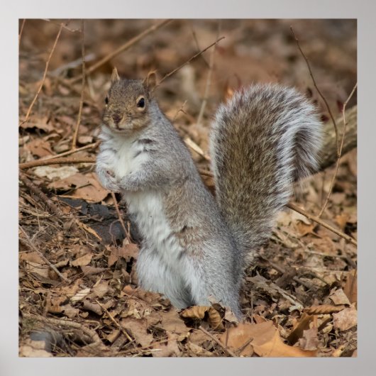 At Attention Poster (Voorkant)