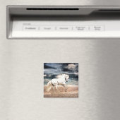 at the gallop magneet (Insitu (Vaatwasser))