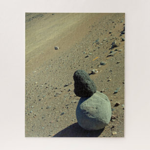 Atacama Desert 520-pc Legpuzzel