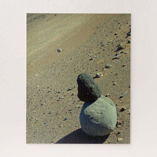 Atacama Desert 520-pc Legpuzzel (Verticaal)