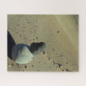 Atacama Desert 520-pc Legpuzzel (Horizontaal)