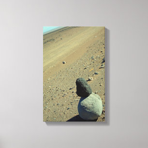 Atacama Desert Canvas Afdruk