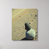 Atacama Desert Canvas Afdruk (Voorkant)