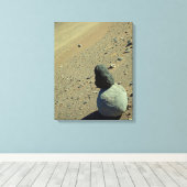 Atacama Desert Canvas Afdruk (Insitu (Houten vloer))