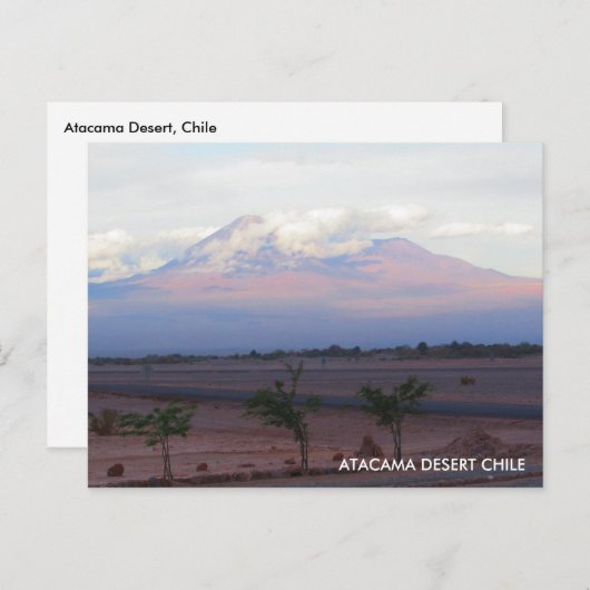 Atacama Desert, Chileens Briefkaart (Voorkant / Achterkant)