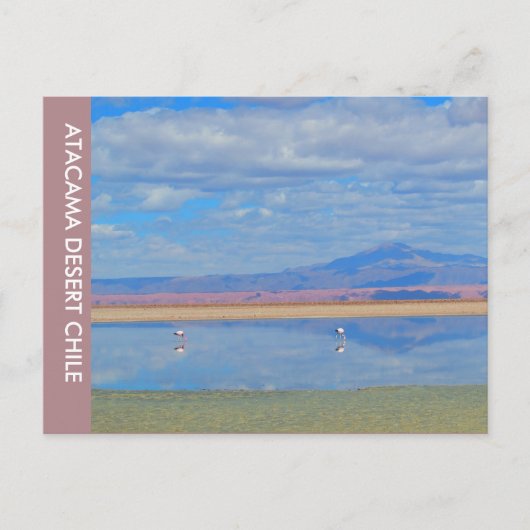 Atacama Desert, Chileens Briefkaart (Voorkant)