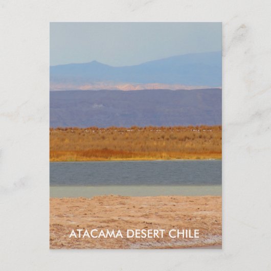 Atacama Desert, Chili Briefkaart Verticaal (Voorkant)