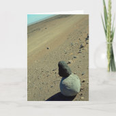 Atacama Desert Kaart (Voorkant)