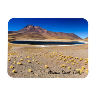 Atacama Desert Magneet