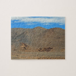 Atacama geoglyphs legpuzzel