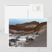 atacama maangolven briefkaart (Voorkant / Achterkant)