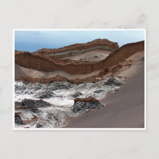 atacama maangolven briefkaart (Voorkant)