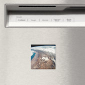 Atacama woestijn en zoutvlakten in de Andes Magneet (Insitu (Vaatwasser))