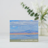Atacama woestijn, Flamingo Chili Briefkaart (Staand voorkant)