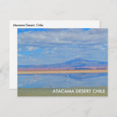 Atacama woestijn, Flamingo Chili Briefkaart (Voorkant / Achterkant)