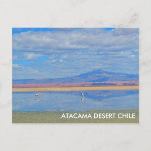 Atacama woestijn, Flamingo Chili Briefkaart