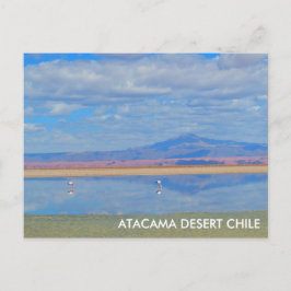 Atacama woestijn, Flamingo Chili Briefkaart