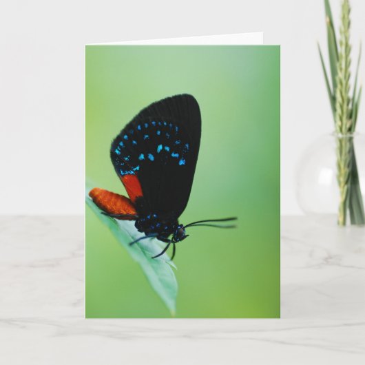 Atala Kaart (Voorkant)