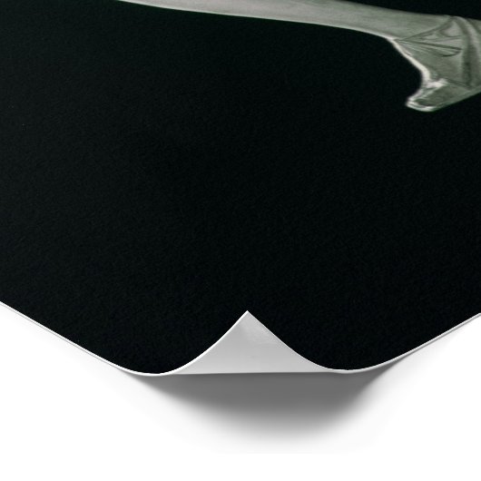 Atalanta Poster (Hoek)