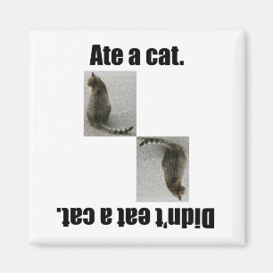 Ate A Cat. Magneet