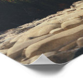 Athabasca Autumn Poster (Hoek)