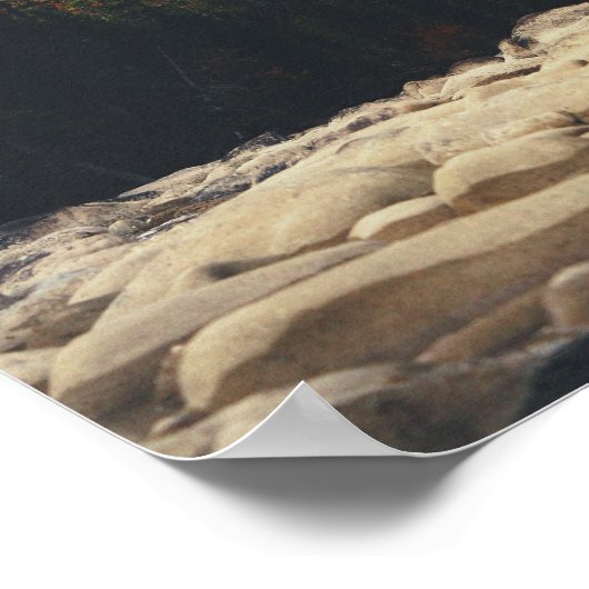 Athabasca Autumn Poster (Hoek)