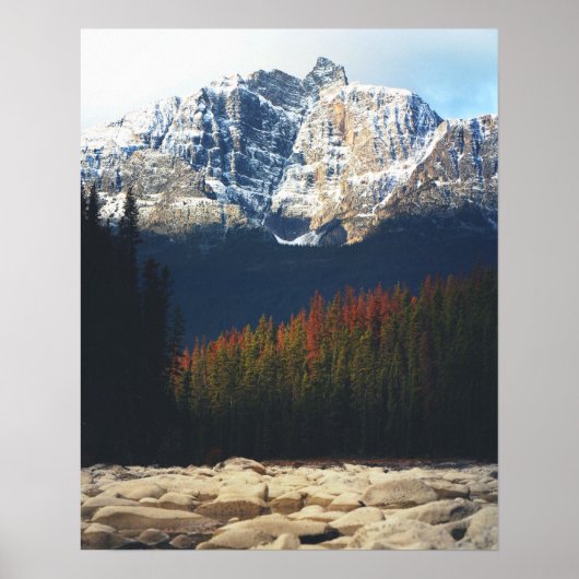 Athabasca Autumn Poster (Voorkant)