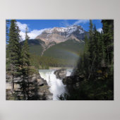 Athabasca-Herfsten Poster (Voorkant)