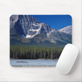 Athabasca, Icefield Parkway, Alberta, Canada Muismat (Met muis)