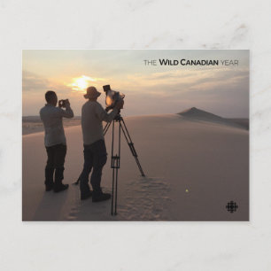 Athabasca Sand Dunes Briefkaart