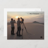 Athabasca Sand Dunes Briefkaart (Voorkant / Achterkant)