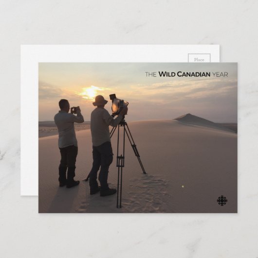 Athabasca Sand Dunes Briefkaart (Voorkant / Achterkant)