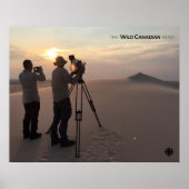 Athabasca Sand Dunes Poster (Voorkant)