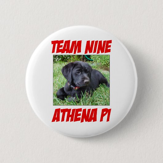 Athena Pi Button 1 (Voorkant)