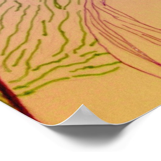 Athena Poster (Hoek)