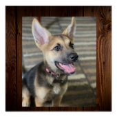 Athena puppy perfect poster (Voorkant)