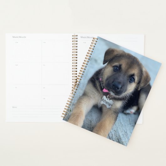 Athena puppy planner (Display)