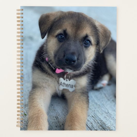 Athena puppy planner (Voorkant)
