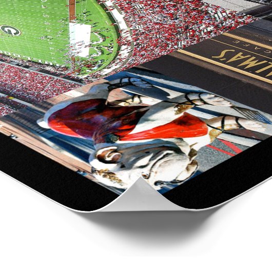 Athene Georgia Poster (Hoek)