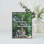 Athene Georgia USA Briefkaart GA (Staand voorkant)