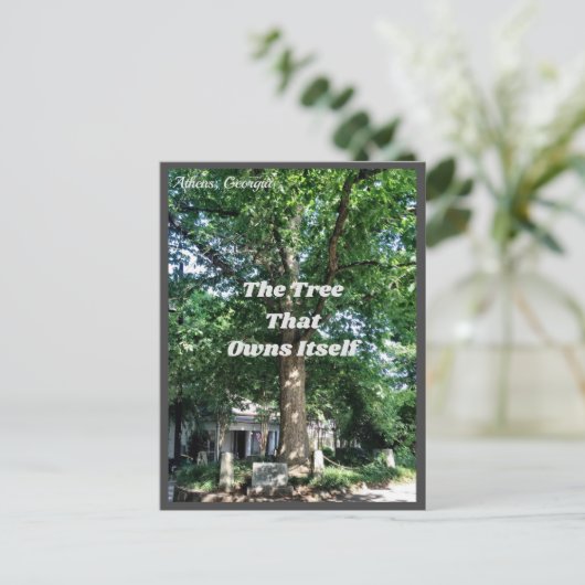 Athene Georgia USA Briefkaart GA (Staand voorkant)