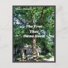 Athene Georgia USA Briefkaart GA