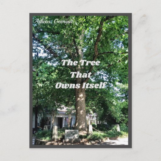 Athene Georgia USA Briefkaart GA (Voorkant)