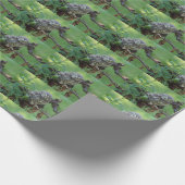 Athene noctua cadeaupapier (Hoek)